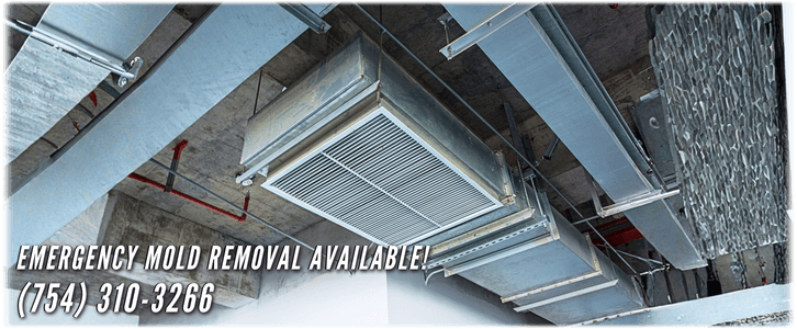 Air Duct Mold Removal in Fort Lauderdale
