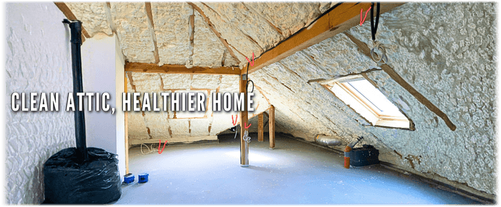 Attic Cleaning Fort Lauderdale